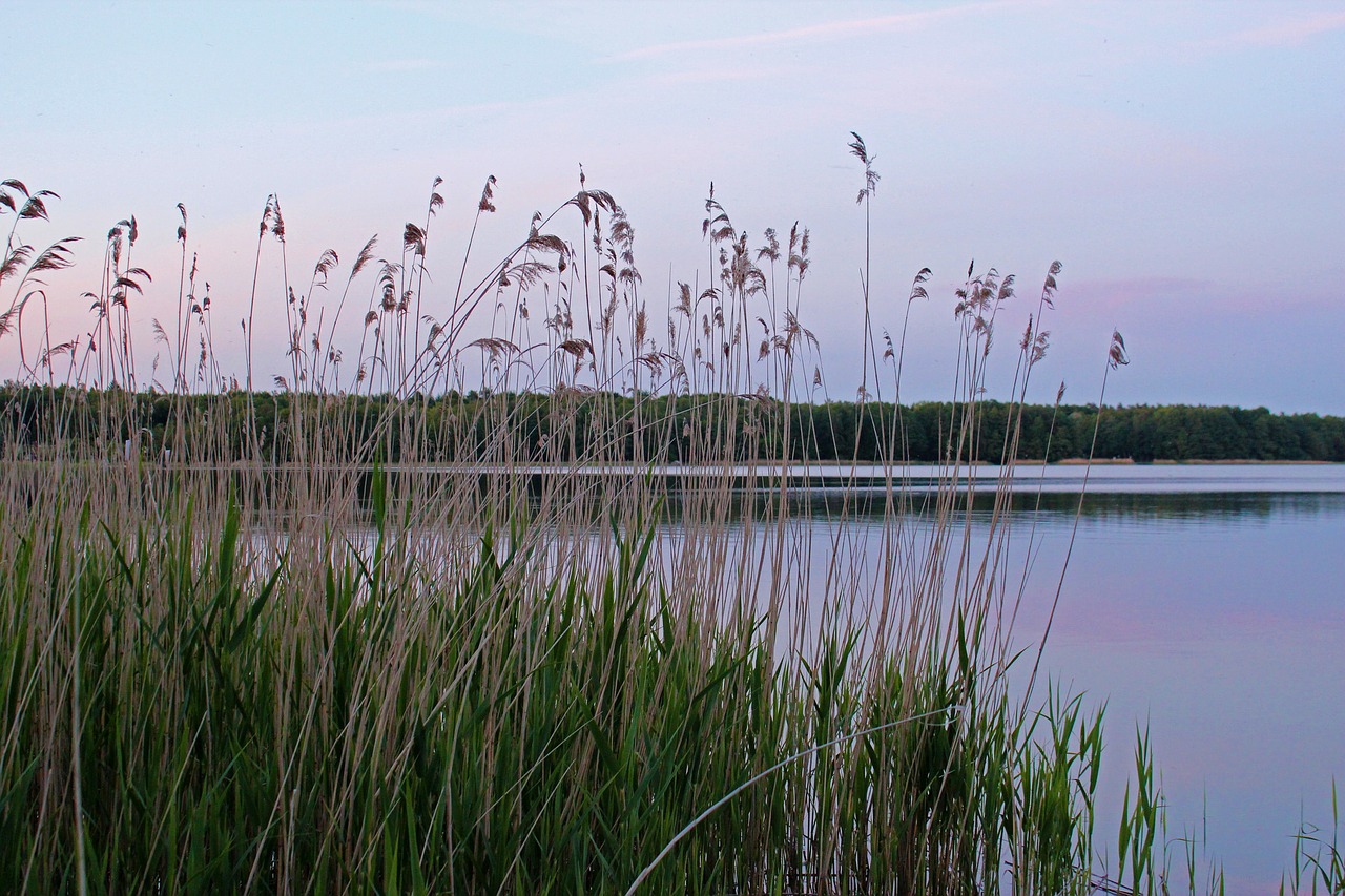 Reiseziel Mecklenburgische Seenplatte